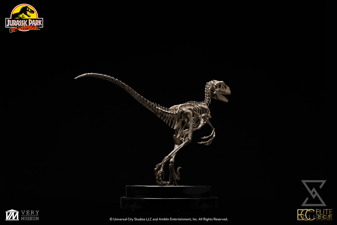 A Rare Skeleton of the Raptor That Inspired the Villains of 'Jurassic Park'  Is the Star of Christie's 20th Century Art Evening Sale